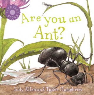Könyv Are You an Ant? Judy Allen