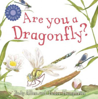 Könyv Are You a Dragonfly? Judy Allen