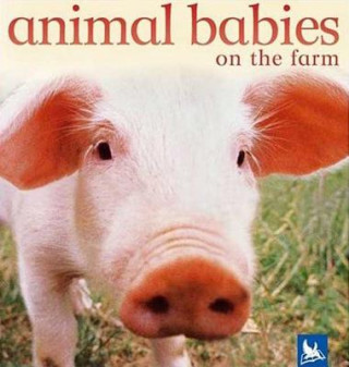 Kniha Animal Babies on the Farm Vicky Weber