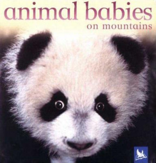 Könyv Animal Babies on Mountains Kingfisher Books