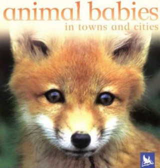 Kniha Animal Babies in Towns and Cities Kingfisher Books