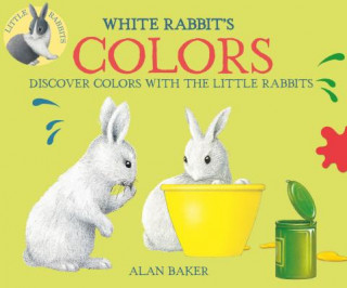Kniha White Rabbit's Color Book Alan Baker