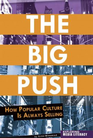 Buch The Big Push: How Popular Culture Is Always Selling Erika Wittekind