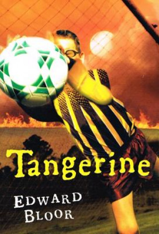 Buch Tangerine Edward Bloor
