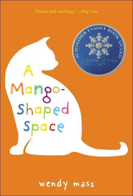 Knjiga A Mango-Shaped Space Wendy Mass