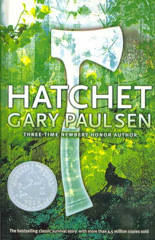 Buch Hatchet Gary Paulsen