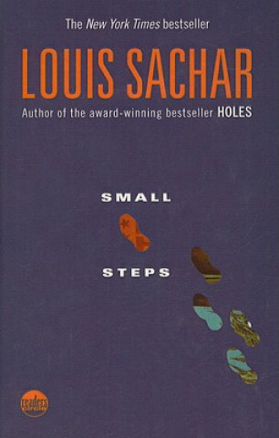 Buch Small Steps Louis Sachar