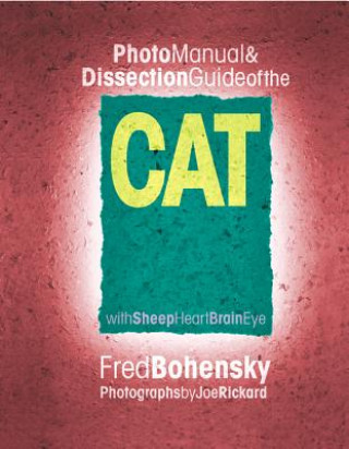 Buch Cat Fred Bohensky