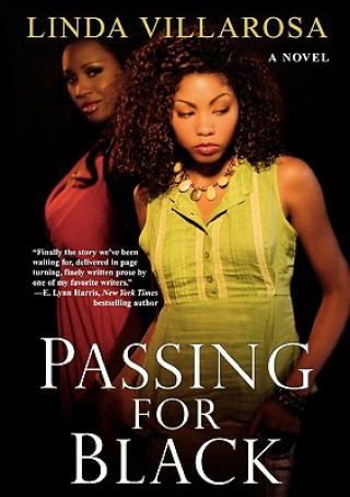 Book Passing for Black Linda Villarosa