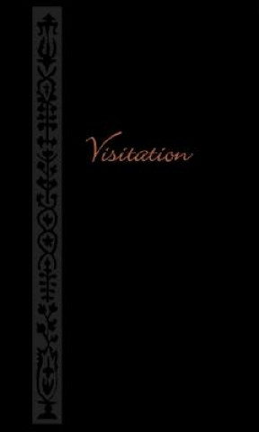 Книга Visitation Arthur A. Just