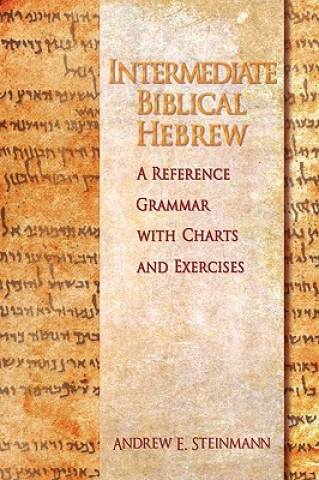 Knjiga Intermediate Biblical Hebrew Andrew E. Steinmann