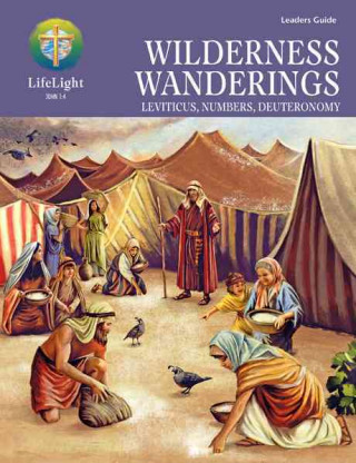 Book Wildnerness Wanderings: Leviticus, Numbers, Deuteronomy Mark Stirdivant