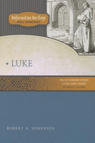 Boek Luke Robert A. Sorensen