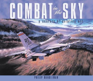 Книга Combat in the Sky Philip Handleman