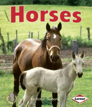 Książka Horses Robin Nelson