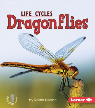 Könyv Dragonflies Robin Nelson