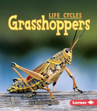 Könyv Grasshoppers Robin Nelson