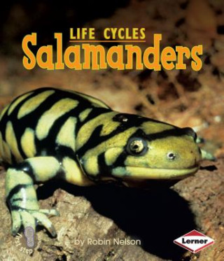 Kniha Salamanders Robin Nelson