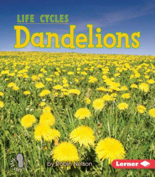 Knjiga Dandelions Robin Nelson