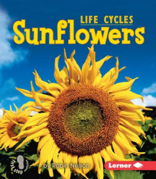 Carte Sunflowers Robin Nelson