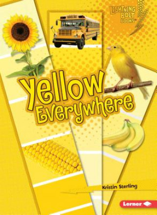Kniha Yellow Everywhere Kristin Sterling