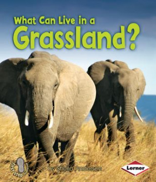 Книга What Can Live in a Grassland? Sheila Anderson