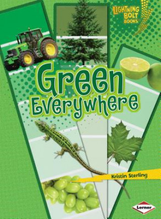 Könyv Green Everywhere Kristin Sterling
