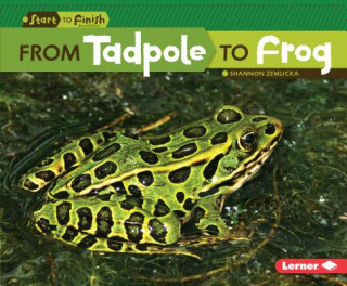 Книга From Tadpole to Frog Shannon Zemlicka