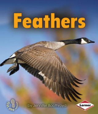 Kniha Feathers Jennifer Boothroyd