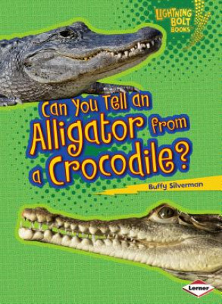 Buch Can You Tell an Alligator from a Crocodile? Buffy Silverman