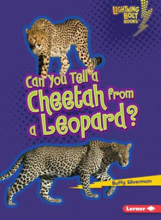 Kniha Can You Tell a Cheetah from a Leopard? Buffy Silverman