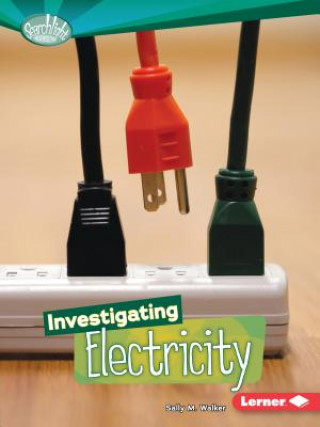 Книга Investigating Electricity Sally M. Walker