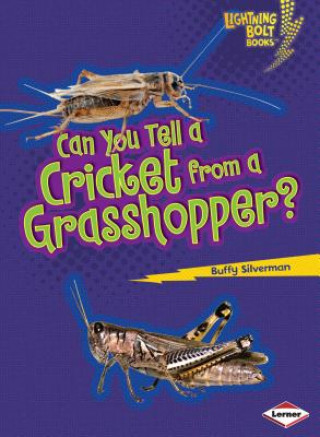 Carte Can You Tell a Cricket from a Grasshopper? Buffy Silverman