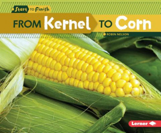 Kniha From Kernel to Corn Robin Nelson