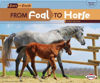 Libro From Foal to Horse Robin Nelson