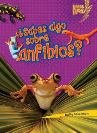 Kniha Sabes Algo Sobre Anfibios = Do You Know about Amphibians? Buffy Silverman