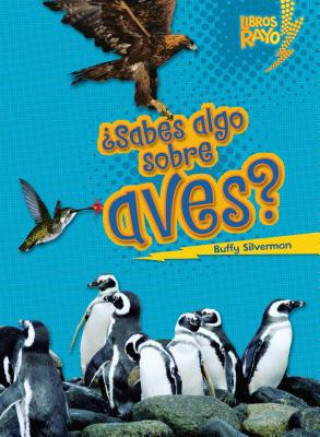 Kniha Sabes Algo Sobre Aves = Do You Know about Birds? Buffy Silverman
