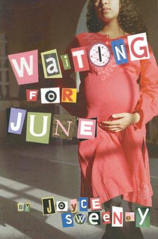Kniha WAITING FOR JUNE Joyce Sweeney