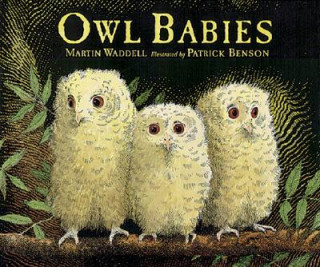 Kniha Owl Babies Martin Waddell
