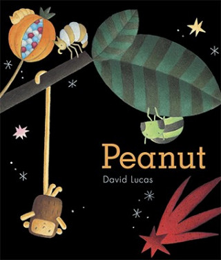 Książka Peanut David Lucas