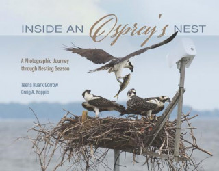 Kniha Inside an Osprey's Nest Teena Ruark Gorrow