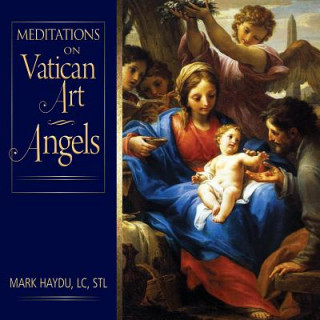 Book Meditations on Vatican Art Angels Mark Haydu