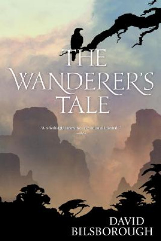 Kniha The Wanderer's Tale David Bilsborough