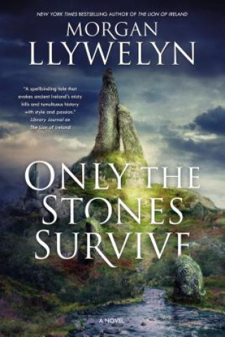 Kniha Only the Stones Survive Morgan Llywelyn