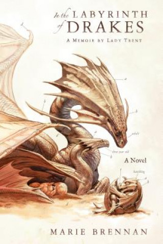 Книга In the Labyrinth of Drakes Marie Brennan