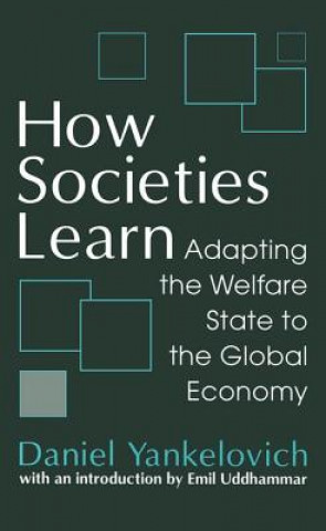 Книга How Societies Learn Daniel Yankelovich