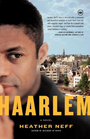 Buch Haarlem Heather Neff