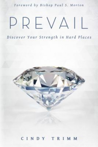 Book Prevail Cindy Trimm