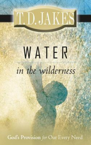 Carte Water in the Wilderness: God's Provision for Our Every Need T D Jakes