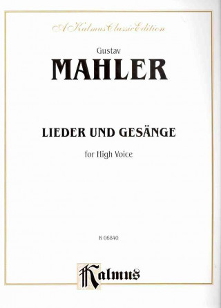 Książka Fourteen Songs Including Nine from Des Knaben Wunderhorn: High Voice (German Language Edition) Gustav Mahler